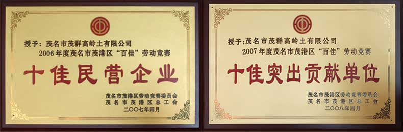 十佳民營(yíng)企業(yè)        十佳突出貢獻(xiàn)企業(yè).jpg